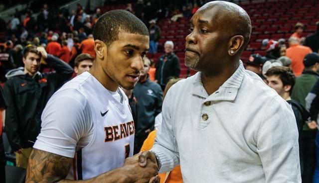 养与引进 养与引进