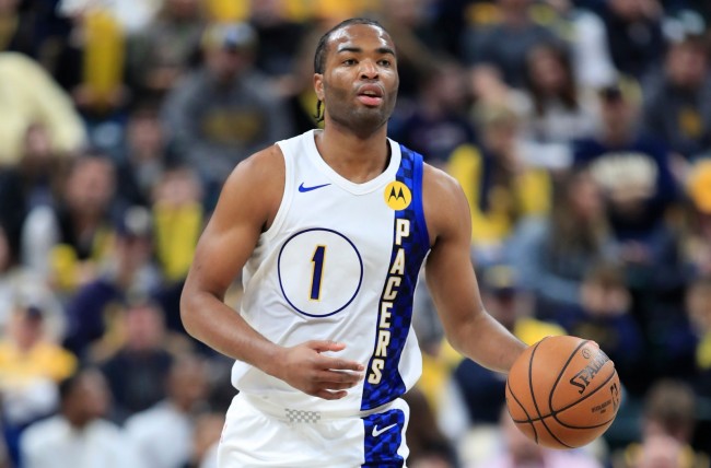 提供了宝贵 提供了宝贵