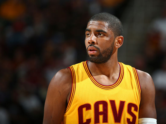 的热烈追捧 的热烈追捧