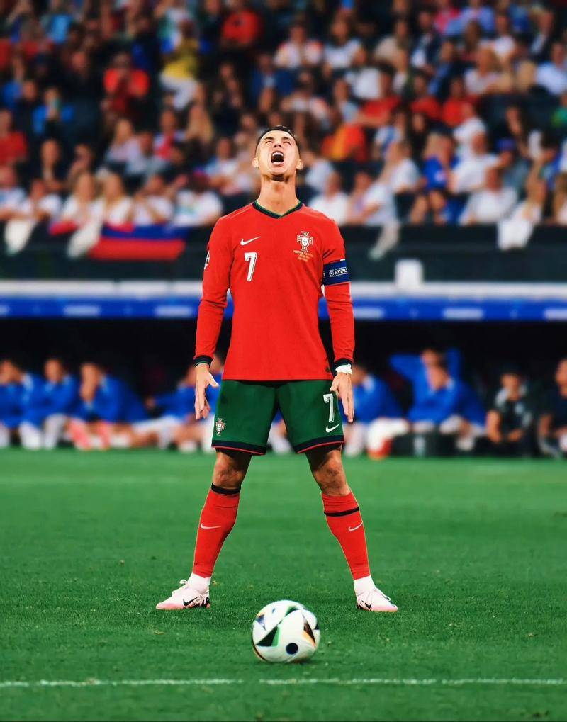 提供了一个 提供了一个